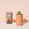 Modern Sprout Terracotta Kit - Cactus / Bonsai Indoor Desert Oasis