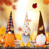 Fall Harvest Gnomes