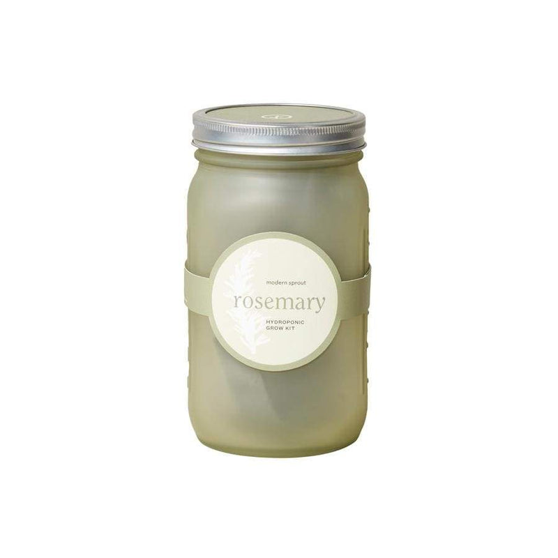 Modern Sprout Mason Garden Jars Self Watering Herb Kit