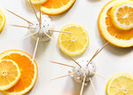 Citrus Orange Toothpick Holder